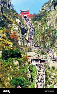 台山哪個風車山好，風車旋轉間的自然與人文探索之旅